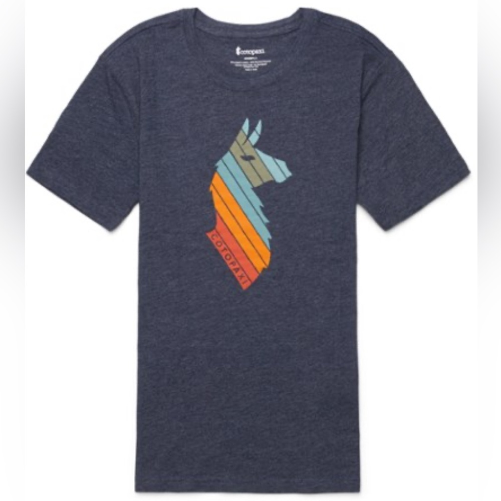 Cotopaxi Women's Lama Stripes Organic T-Shirt in Graphite